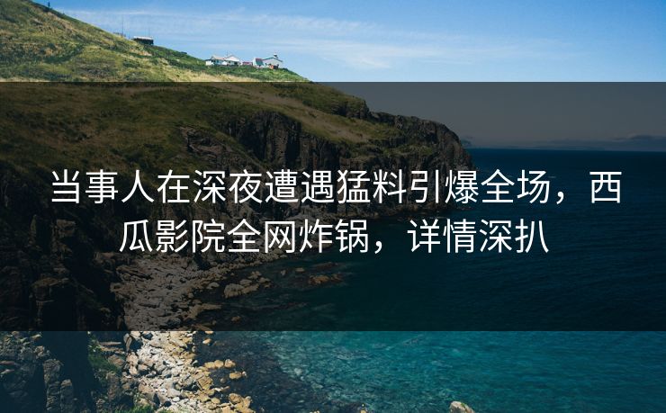 当事人在深夜遭遇猛料引爆全场，西瓜影院全网炸锅，详情深扒