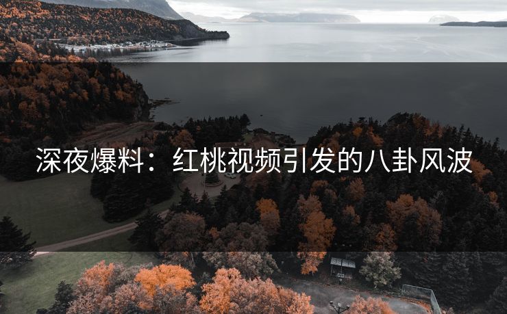 深夜爆料：红桃视频引发的八卦风波