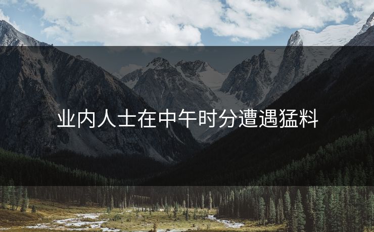 业内人士在中午时分遭遇猛料