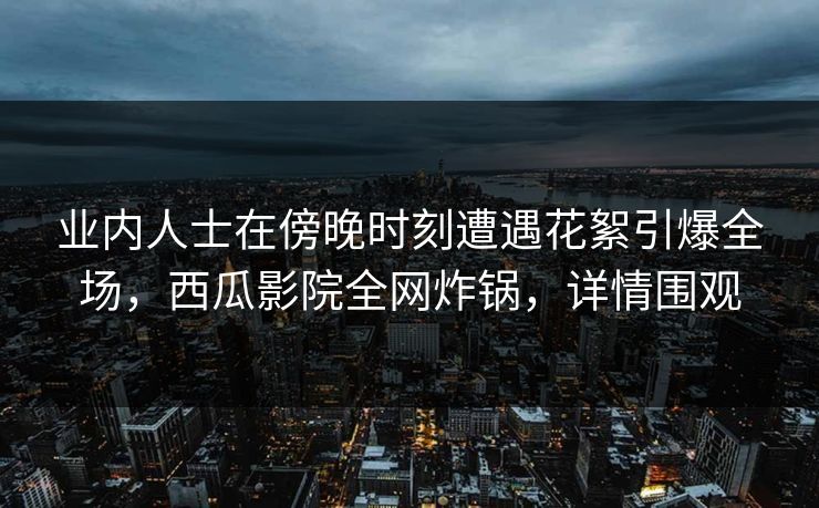 业内人士在傍晚时刻遭遇花絮引爆全场，西瓜影院全网炸锅，详情围观