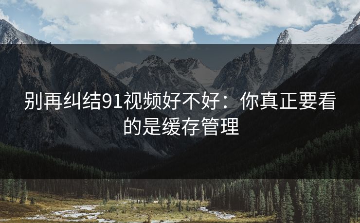 别再纠结91视频好不好：你真正要看的是缓存管理